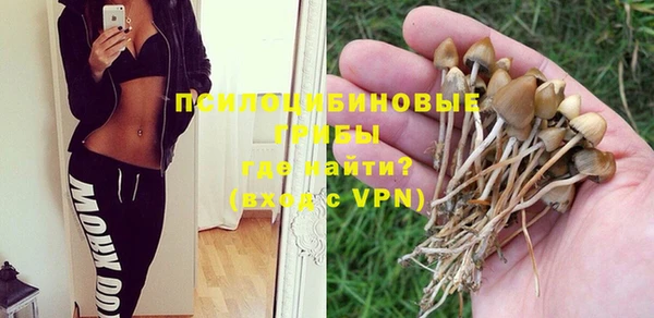 бошки Пестово
