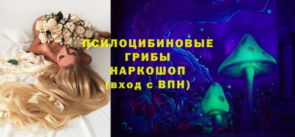 дурь Покачи